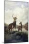 Buck and Doe, 1885 (Oil on Canvas)-Arthur Fitzwilliam Tait-Mounted Giclee Print