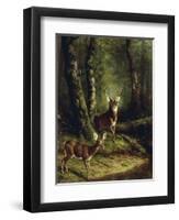 Buck and Doe in the Adirondacks-Arthur Fitzwilliam Tait-Framed Giclee Print