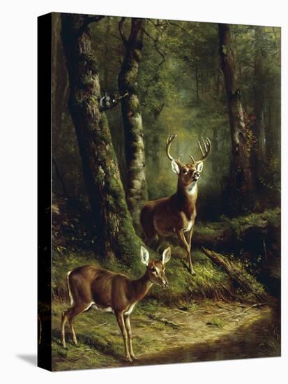 Buck and Doe in the Adirondacks-Arthur Fitzwilliam Tait-Stretched Canvas