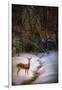 Buck at Snowy Creek-Jai Johnson-Framed Giclee Print