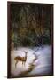 Buck at Snowy Creek-Jai Johnson-Framed Giclee Print