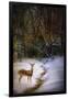 Buck at Snowy Creek-Jai Johnson-Framed Giclee Print