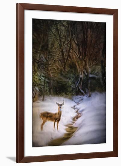 Buck at Snowy Creek-Jai Johnson-Framed Giclee Print