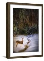 Buck at Snowy Creek-Jai Johnson-Framed Giclee Print