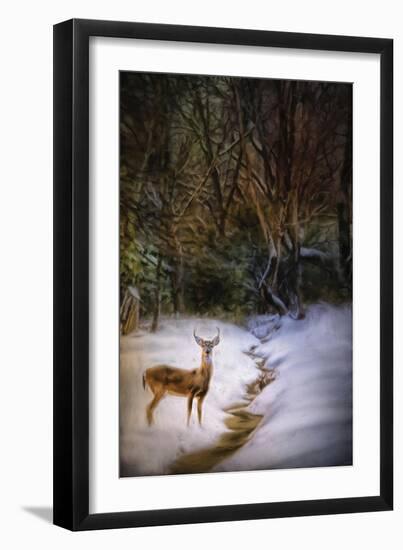 Buck at Snowy Creek-Jai Johnson-Framed Giclee Print