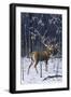 Buck in His Prime-Wilhelm Goebel-Framed Giclee Print