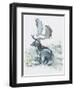 Buck in the Grass, 2006-Mark Adlington-Framed Giclee Print