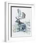 Buck in the Grass, 2006-Mark Adlington-Framed Giclee Print