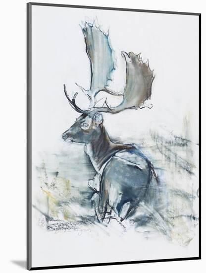 Buck in the Grass, 2006-Mark Adlington-Mounted Giclee Print