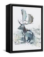 Buck in the Grass, 2006-Mark Adlington-Framed Stretched Canvas