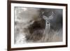 Buck in the Shadows-Jai Johnson-Framed Giclee Print