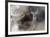 Buck in the Shadows-Jai Johnson-Framed Giclee Print