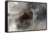 Buck in the Shadows-Jai Johnson-Framed Stretched Canvas