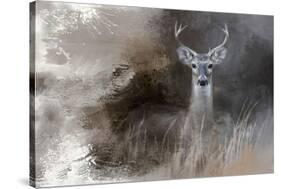 Buck in the Shadows-Jai Johnson-Stretched Canvas