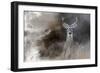 Buck in the Shadows-Jai Johnson-Framed Giclee Print