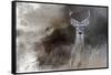 Buck in the Shadows-Jai Johnson-Framed Stretched Canvas