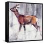 Buck in the Snow, 2000-Mark Adlington-Framed Stretched Canvas