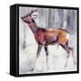 Buck in the Snow, 2000-Mark Adlington-Framed Stretched Canvas