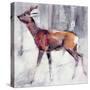 Buck in the Snow, 2000-Mark Adlington-Stretched Canvas