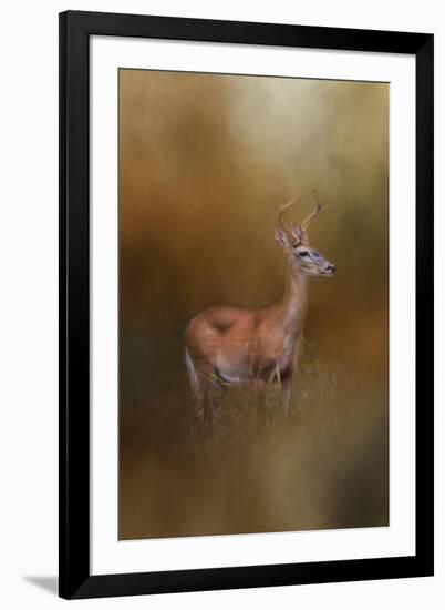 Buck in the Woods-Jai Johnson-Framed Giclee Print
