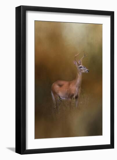 Buck in the Woods-Jai Johnson-Framed Giclee Print