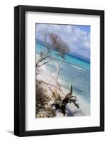 Buck Island, Saint Croix, Us Virgin Islands. Beach with Christiansted-Janet Muir-Framed Photographic Print