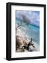 Buck Island, Saint Croix, Us Virgin Islands. Beach with Christiansted-Janet Muir-Framed Photographic Print