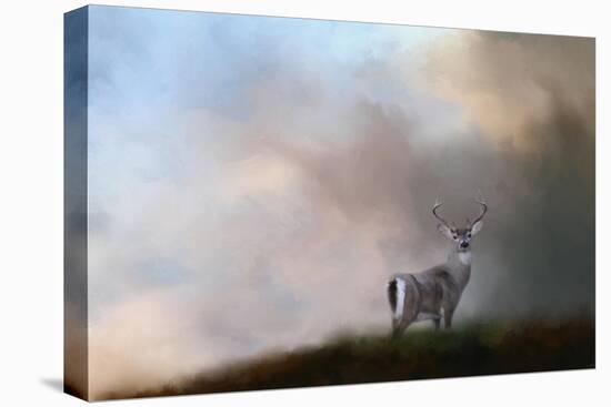 Buck on the Hill-Jai Johnson-Stretched Canvas