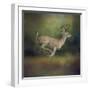 Buck on the Run-Jai Johnson-Framed Giclee Print