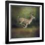 Buck on the Run-Jai Johnson-Framed Giclee Print