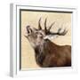 Buck-Janie Howe-Framed Giclee Print