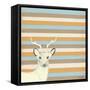 Buck-Tammy Kushnir-Framed Stretched Canvas