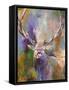 Buck-Richard Wallich-Framed Stretched Canvas