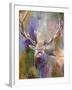 Buck-Richard Wallich-Framed Giclee Print