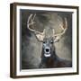 Buck-Sally Swatland-Framed Art Print