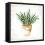 Bucket of Greenery I-null-Framed Stretched Canvas