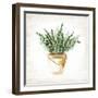 Bucket of Greenery I-null-Framed Art Print