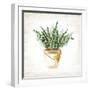 Bucket of Greenery I-null-Framed Art Print