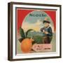 Buckeye Boy Brand - Covina, California - Citrus Crate Label-Lantern Press-Framed Art Print