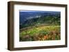 Buckhorn Viewpoint & Imnaha River Valley-Steve Terrill-Framed Photographic Print