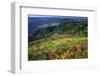 Buckhorn Viewpoint & Imnaha River Valley-Steve Terrill-Framed Photographic Print