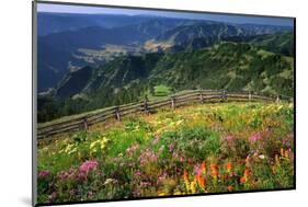 Buckhorn Viewpoint & Imnaha River Valley-Steve Terrill-Mounted Photographic Print