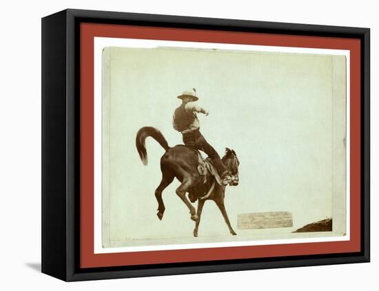 Bucking Bronco. Ned Coy-John C. H. Grabill-Framed Stretched Canvas