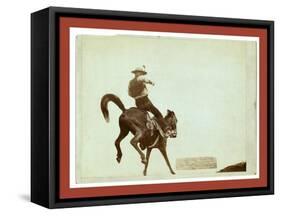 Bucking Bronco. Ned Coy-John C. H. Grabill-Framed Stretched Canvas