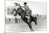 Bucking Bronco Photo-null-Mounted Premium Giclee Print