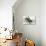 Bucking Bronco Photo-null-Art Print displayed on a wall