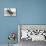 Bucking Bronco Photo-null-Mounted Art Print displayed on a wall