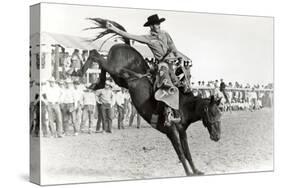 Bucking Bronco Photo-null-Stretched Canvas