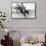 Bucking Bronco Photo-null-Framed Stretched Canvas displayed on a wall