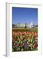 Buckingham Palace and Queen Victoria Monument with Tulips, London, England, United Kingdom, Europe-Stuart Black-Framed Photographic Print